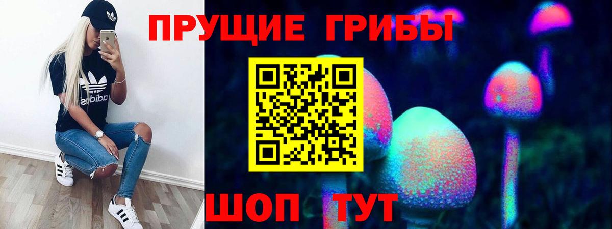 Воскресенск  Псилоцибиновые грибы Psilocybine cubensis  Вход с VPN 